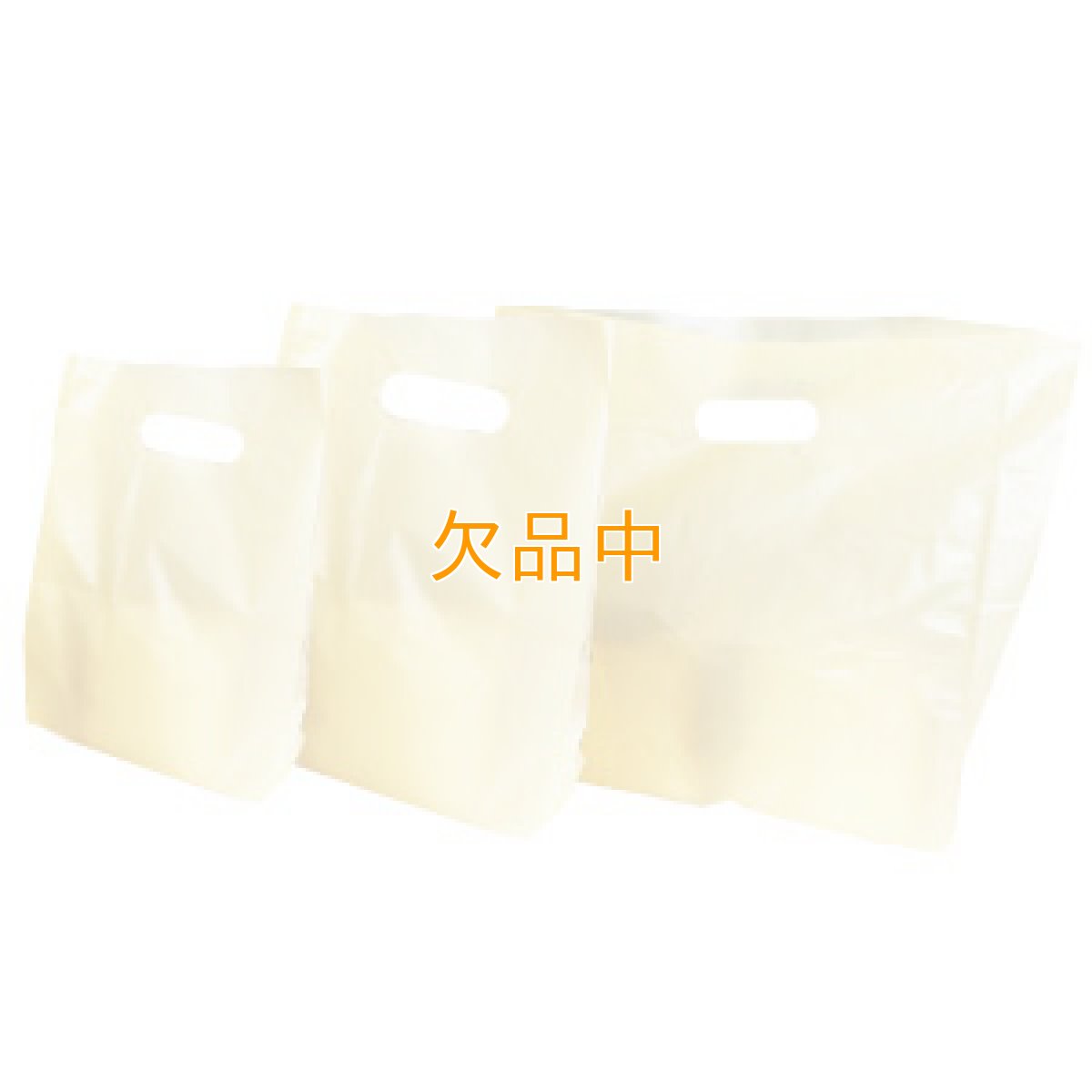 画像1: 2斤用　レジバック　ベージュ (1)