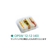 OPSW12-12A　50入