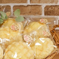 画像6: わけありシール　300枚入 (6)