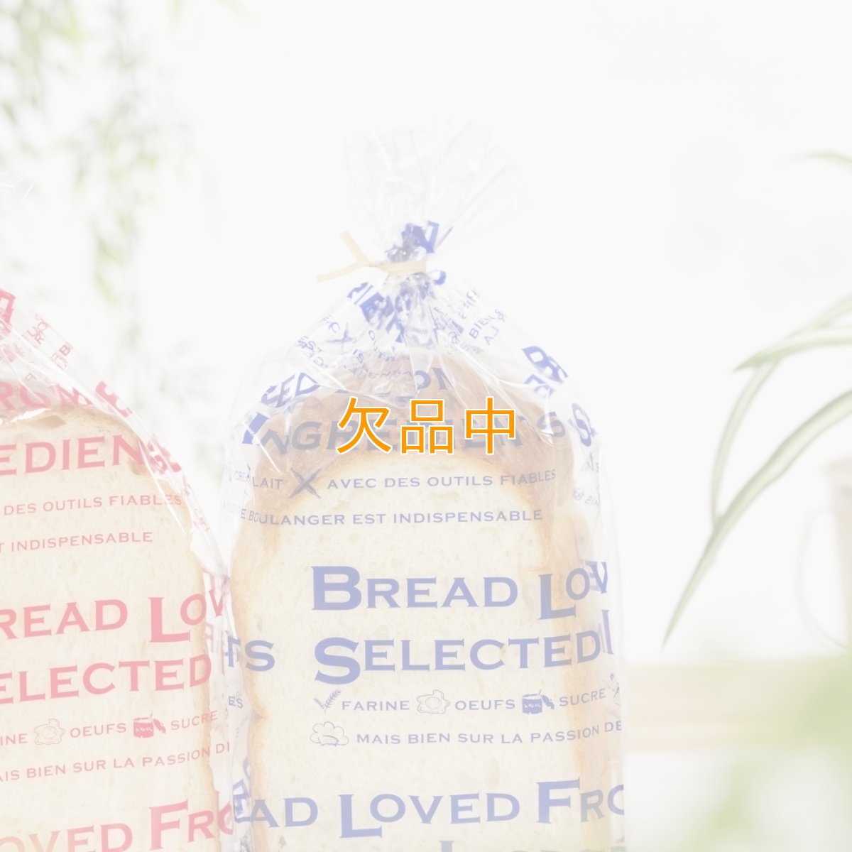 愛されるパンは…食パン袋　タンザナイト　100入