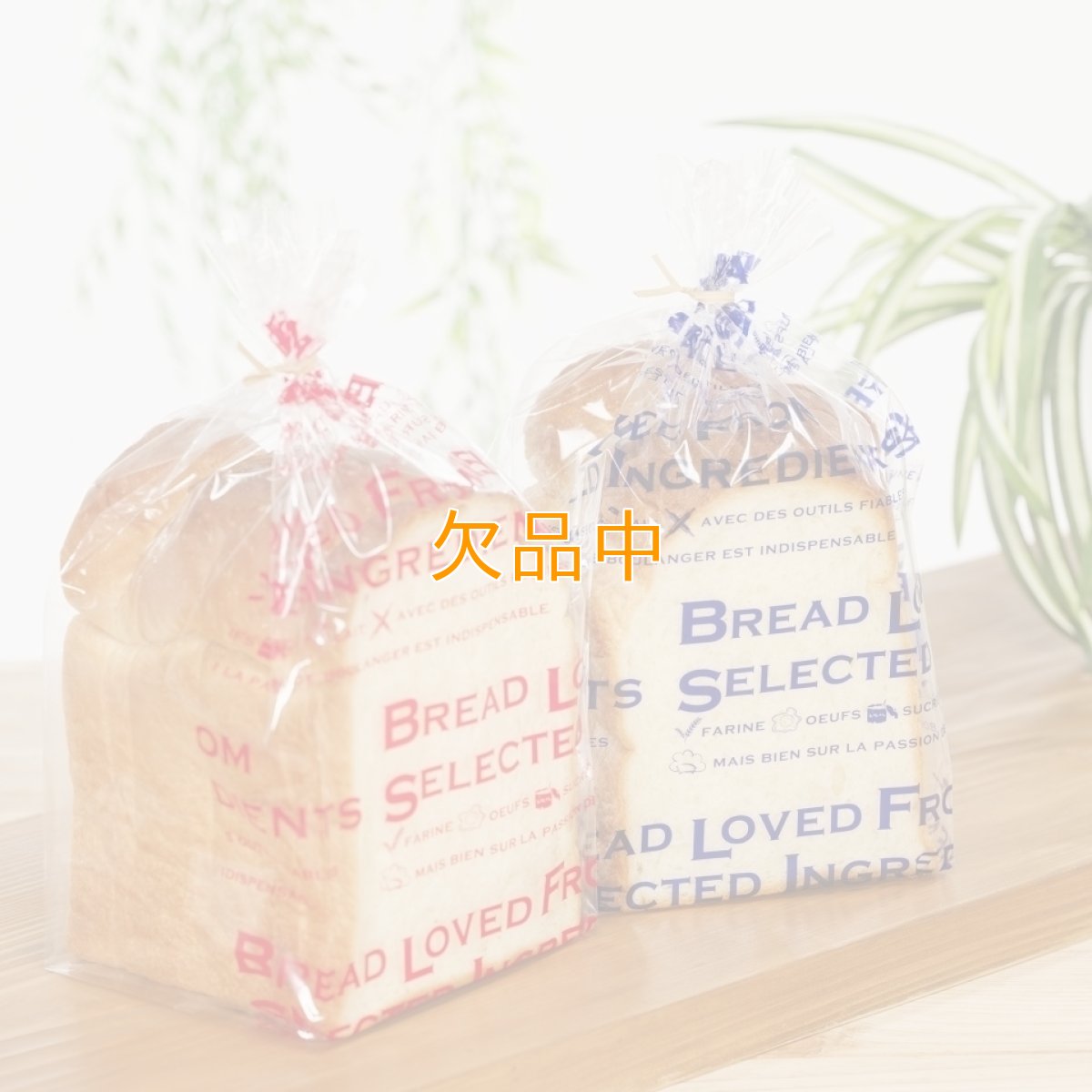 タンザナイト　食パン袋　100入