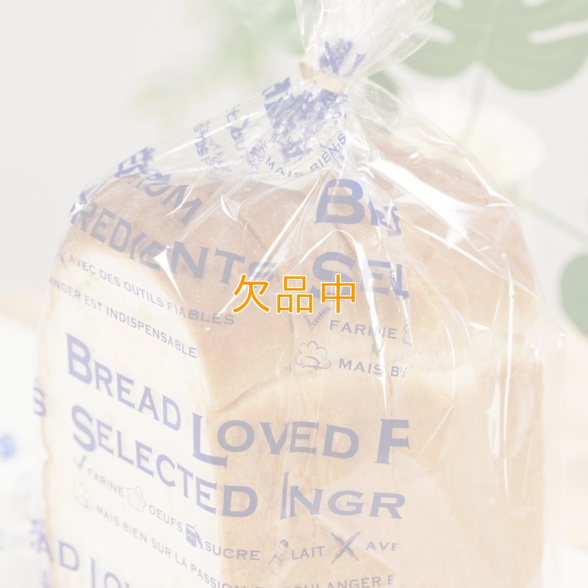 タンザナイト　食パン袋　100入