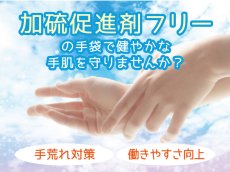 NO.889　ニトリル手袋　パープル　M　200入