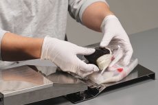 送風機　RYO-KUN　Fresh Air Packing Maker